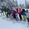 Sekcja narciarska sportowa, sekcja narciarska rekreacyjna