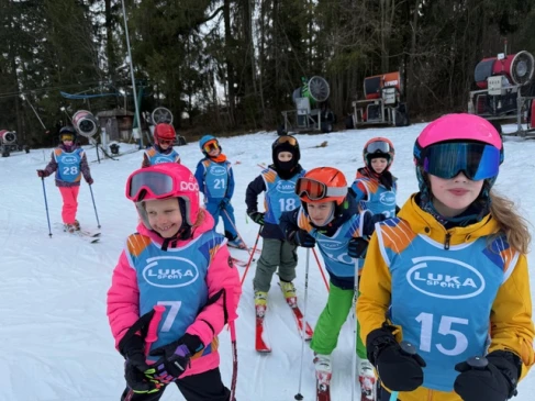 Sekcja narciarska sportowa, sekcja narciarska rekreacyjna